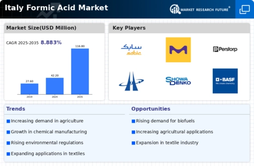 Italy Formic Acid Market Infographic