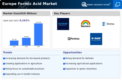 Europe Formic Acid Market Infographic