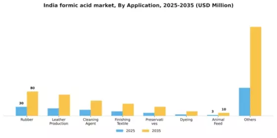 India Formic Acid Market Segment Image 0
