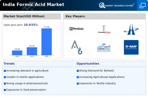 India Formic Acid Market Infographic
