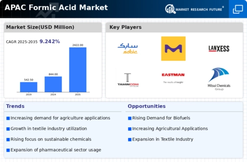 APAC Formic Acid Market Infographic