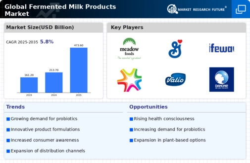 Fermented Milk Market Infographic
