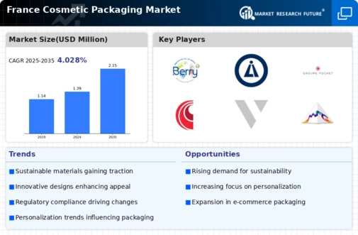 France Cosmetic Packaging Market Infographic