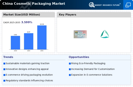 China Cosmetic Packaging Market Infographic