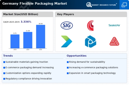 Germany Flexible Packaging Market Infographic