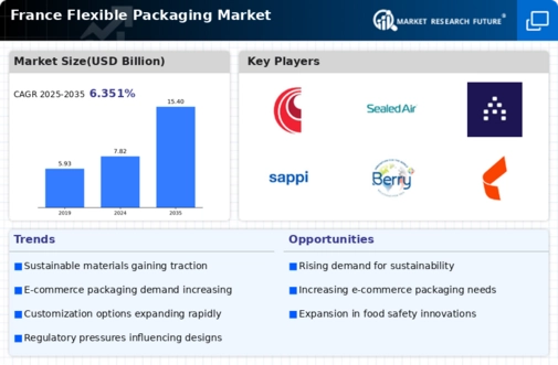 France Flexible Packaging Market Infographic