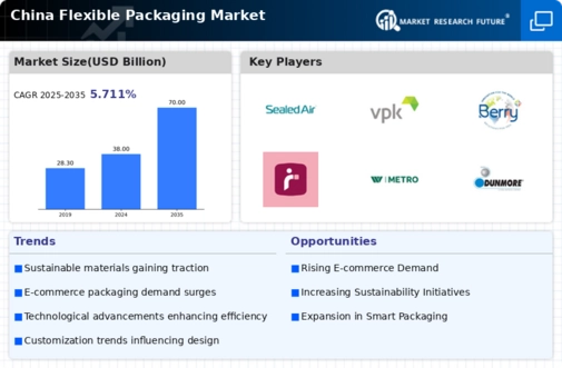 China Flexible Packaging Market Infographic