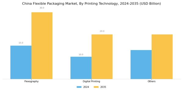 China Flexible Packaging Market Segment Image 2