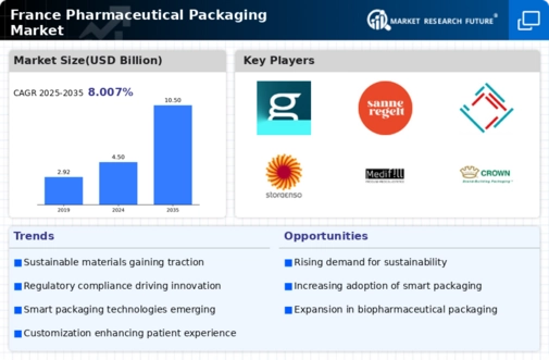 France Pharmaceutical Packaging Market Infographic