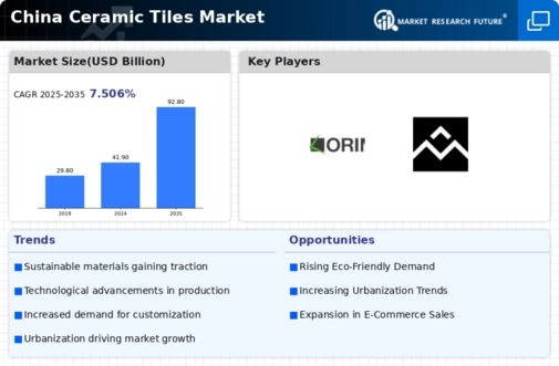 China Ceramic Tiles Market Infographic