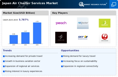 Japan Air Charter Services Market Infographic