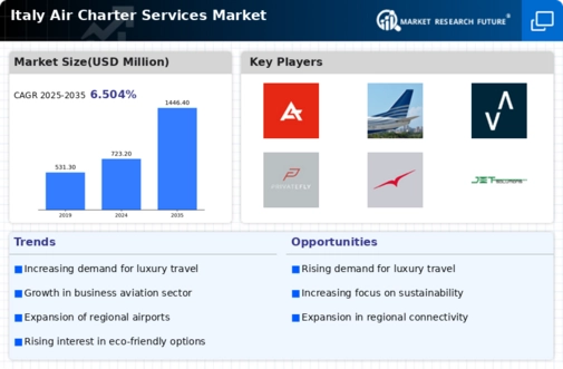 Italy Air Charter Services Market Infographic