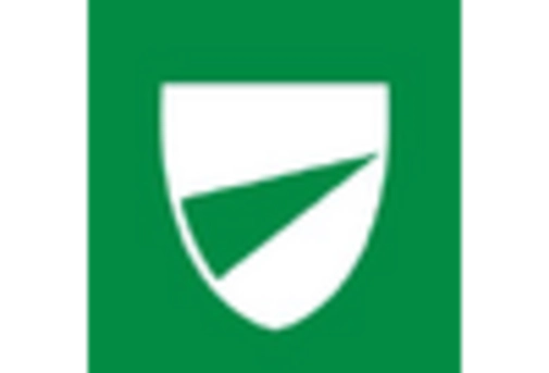 UK Automotive E Commerce Market key player