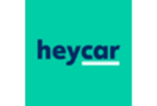 Germany Automotive E Commerce Market key player