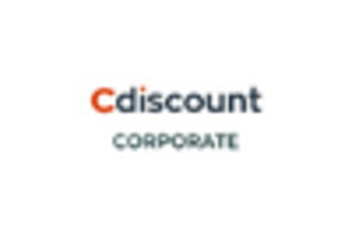 France Automotive E Commerce Market key player