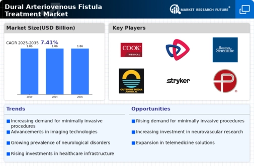 Dural Arteriovenous Fistulas Treatment Market Infographic