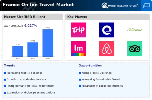 France Online Travel Market Infographic