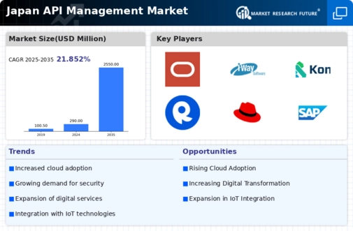 Japan API Management Market Infographic