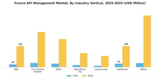 France API Management Market Segment Image 2