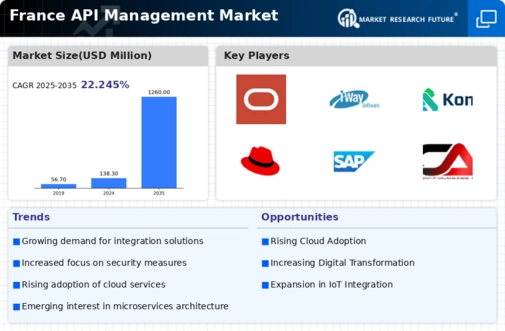 France API Management Market Infographic