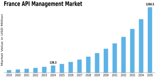 France API Management Market Size
