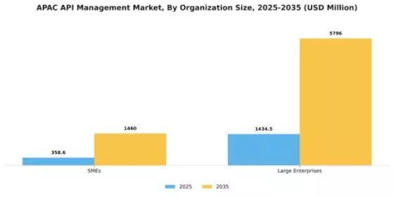 APAC API Management Market Segment Image 3