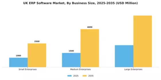 UK ERP Software Market Segment Image 0