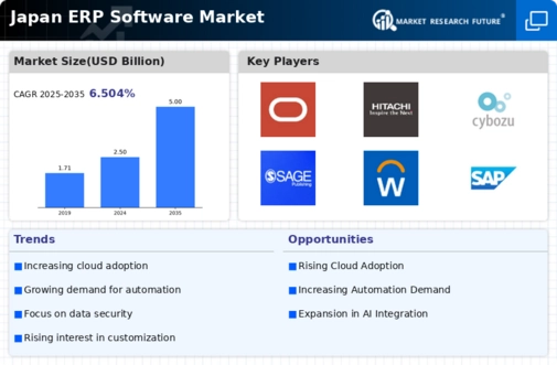 Japan ERP Software Market Infographic