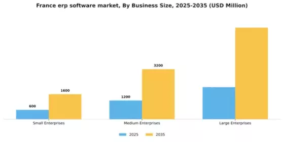 France ERP Software Market Segment Image 0