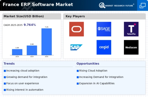 France ERP Software Market Infographic