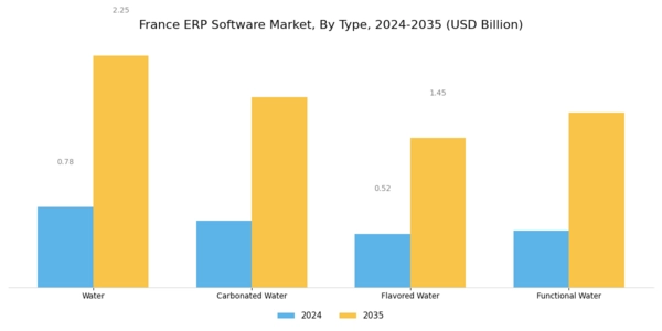 France ERP Software Market Segment Image 0