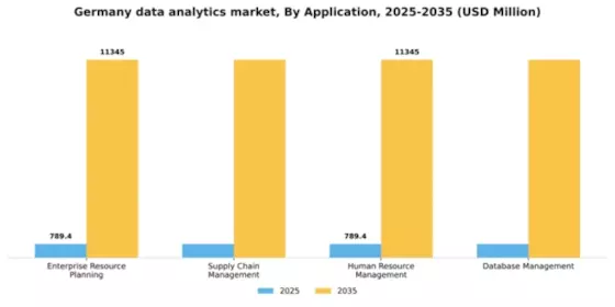 Germany Data Analytics Market Segment Image 0