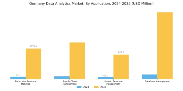 Germany Data Analytics Market Segment Image 2