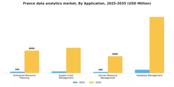 France Data Analytics Market Segment Image 0