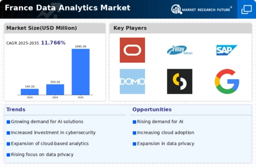 France Data Analytics Market Infographic