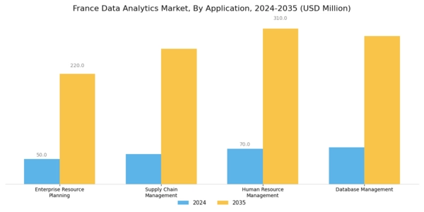 France Data Analytics Market Segment Image 2