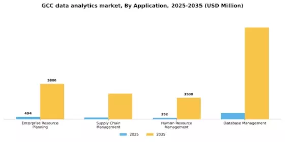 GCC Data Analytics Market Segment Image 0