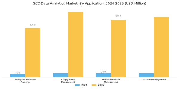 GCC Data Analytics Market Segment Image 2