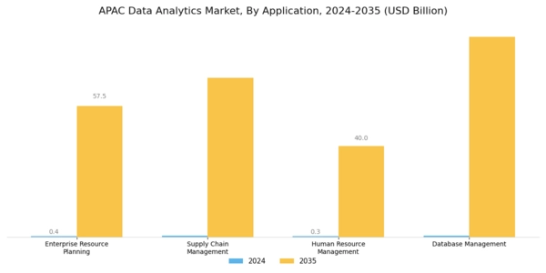 APAC Data Analytics Market Segment Image 2