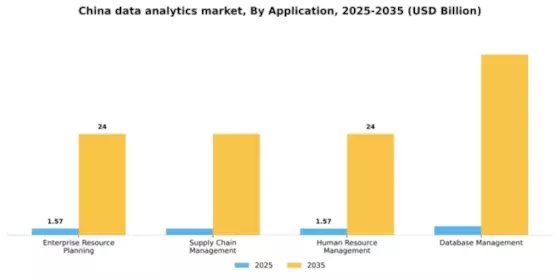 China Data Analytics Market Segment Image 0