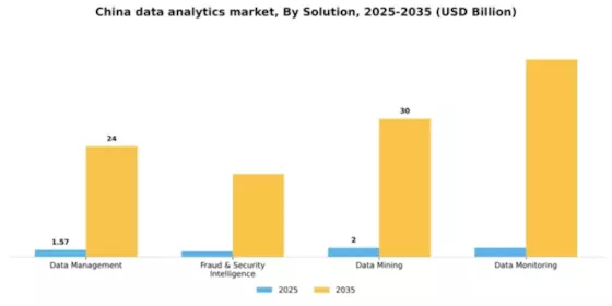 China Data Analytics Market Segment Image 2