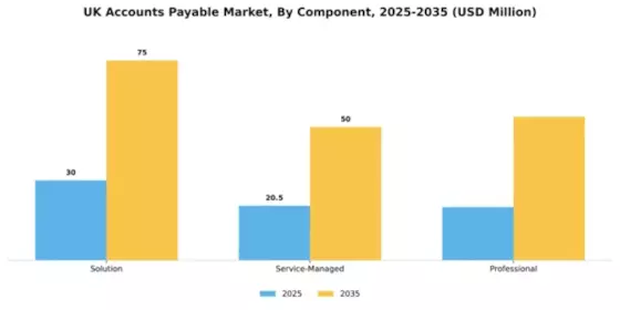 UK Account Payable Market Segment Image 0