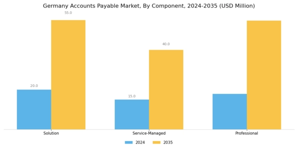 Germany Account Payable Market Segment Image 0