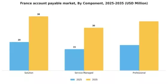France Account Payable Market Segment Image 0
