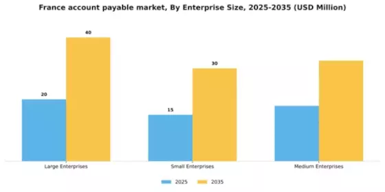 France Account Payable Market Segment Image 2
