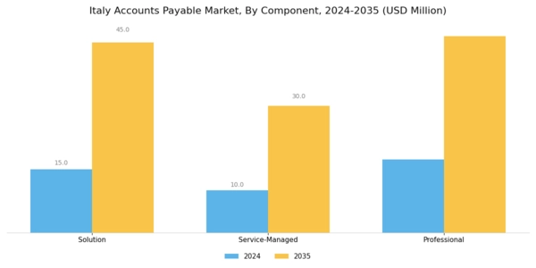 Italy Account Payable Market  Segment Image 0