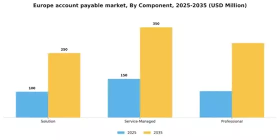 Europe Account Payable Market Segment Image 0
