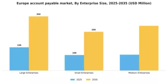 Europe Account Payable Market Segment Image 2