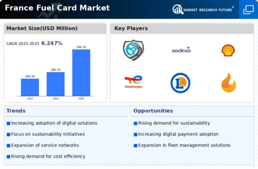 France Fuel Card Market Infographic
