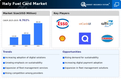 Italy Fuel Card Market Infographic